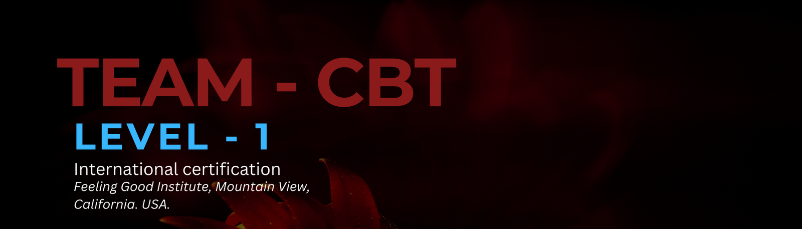 TEAM-CBT Level 1 (IMMERSION)