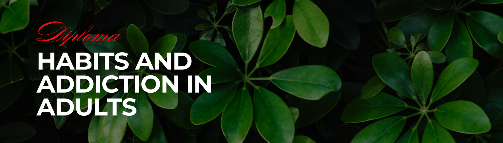 Treating Habits and Addictions