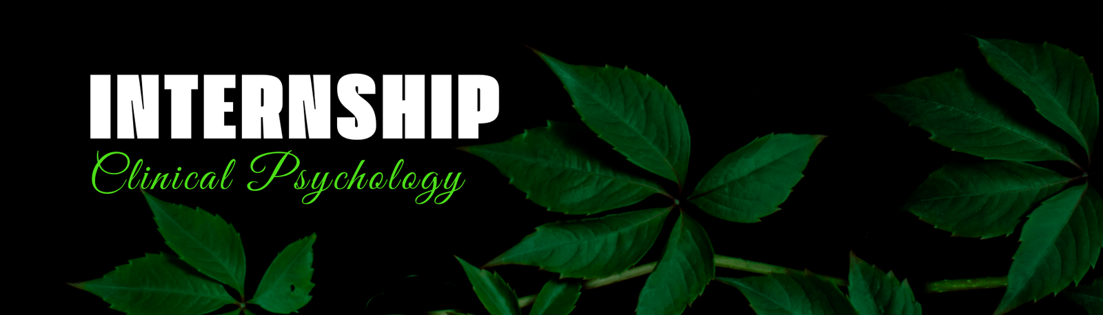 Clinical Psychology Internship