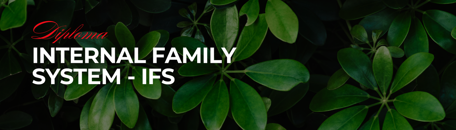 Diploma in Internal Family System [IFS]