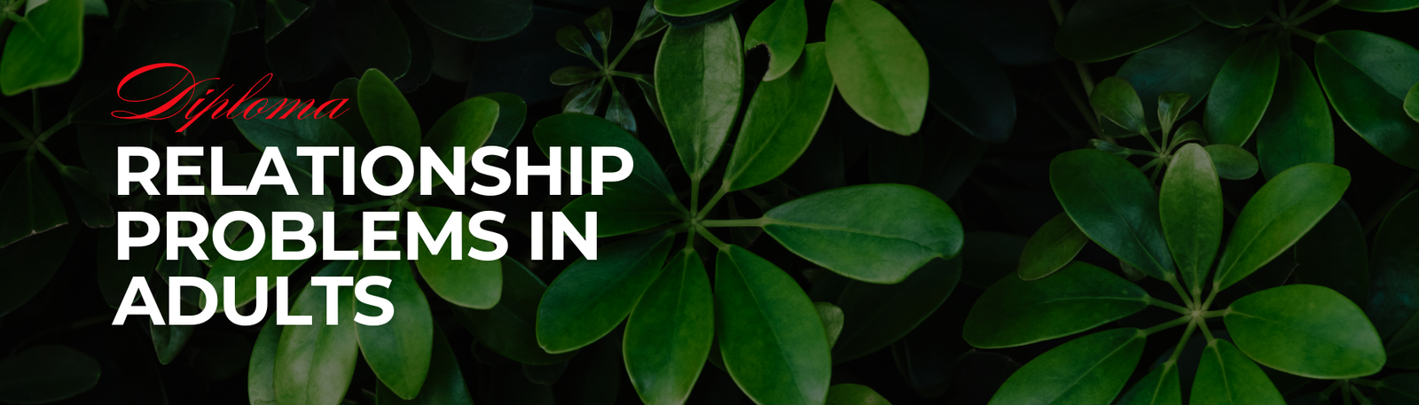 Treating Relationship Problems