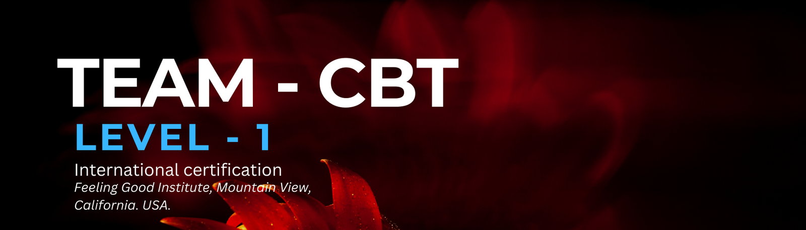 TEAM-CBT Level 1