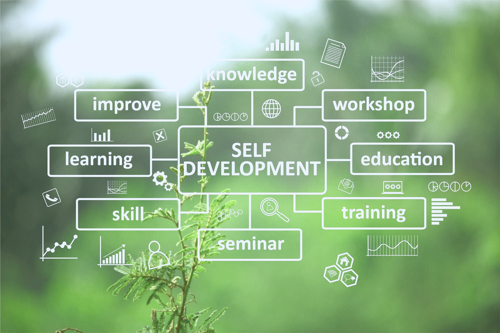 Practical Counseling Skills Level 3